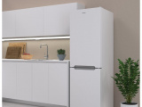 Холодильник Candy CCRN 6180W 14