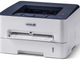 Принтер лазерный Xerox B210_DNI 11