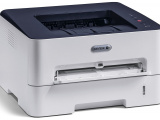 Принтер лазерный Xerox B210_DNI 12