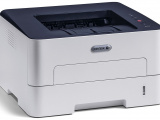 Принтер лазерный Xerox B210_DNI 13