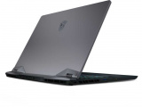 Ноутбук 15,6" MSI GE66 Raider 10SGS-254RU (9S7-154114-254) 6