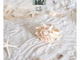 Весы напольные Irit IR 7256 0