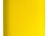 Мобильный телефон Nokia 8110 DS Желтый 2