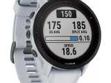 Смарт часы Garmin Forerunner 955 Solar Whitestone (010-02638-21) 0