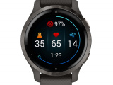 Смарт часы Garmin Venu 2S Dark серый with серый frame 010-02429-10 2