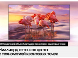 55' Телевизор Samsung QE55QN85AAU 11