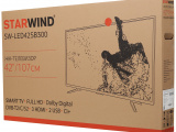 42' Телевизор Starwind SW-LED42SB300 10