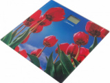 Весы напольные HOMESTAR HS-6001 I 0