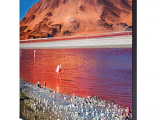 50' Телевизор Samsung UE50TU7100 3