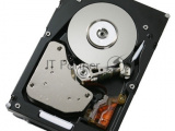 Жесткий диск IBM 300Gb 2Gbs FC E-DDM HDDS 1 0