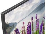 43' Телевизор Sony KDL43WF804BR 5