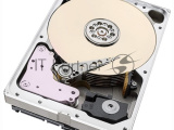 Жесткий диск Toshiba HDD  SAS 12Tb 7200 512Mb 1 year warranty (replacement MG07SCA12TE) 2