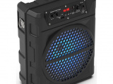 Портативная колонка Ritmix SP-810B  Чёрный 1