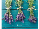 Весы кухонные Vitek VT-2415 B 2