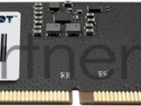 Оперативная память Patriot Signature, DDR5, 16GB (1x16 GB), 5200 MHz, CL42, DIMM 4