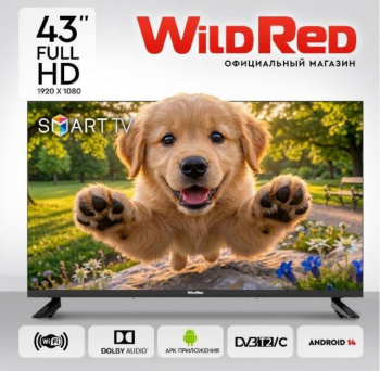 43' Телевизор WILDRED 43QWS9001
