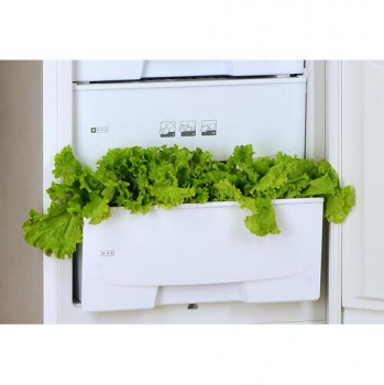 Холодильник POZIS RD-149