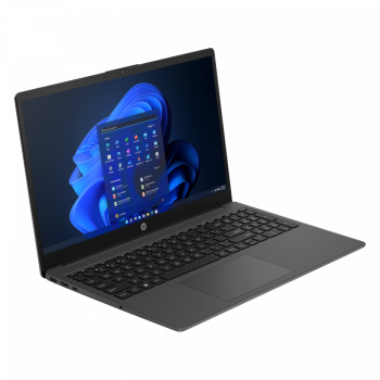 Ноутбук 15,6" HP 250 G10 (725G5EA)