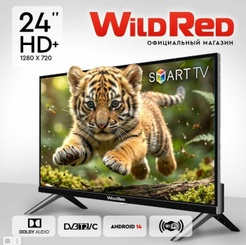 24' Телевизор WILDRED 24QWS9001