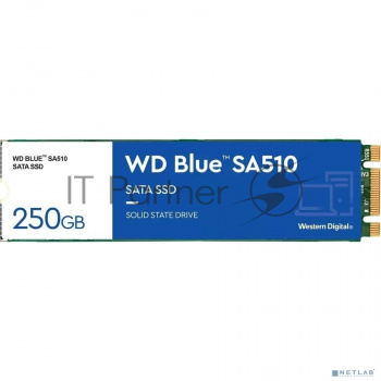 Накопитель SSD WD Blue SA510 WDS250G3B0B, 250Gb, SATA III, M.2 2280, R/W 555/440