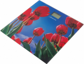 Весы напольные HOMESTAR HS-6001 I
