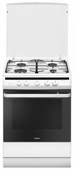 Отдельностоящая плита Hansa FCGW61000