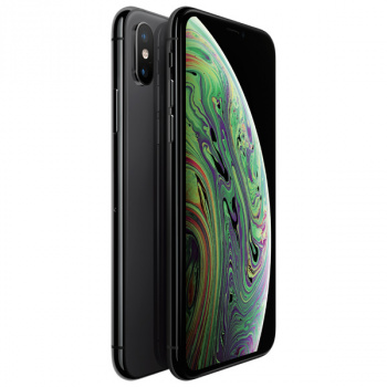 Смартфон Apple iPhone XS Max 256Гб Серый