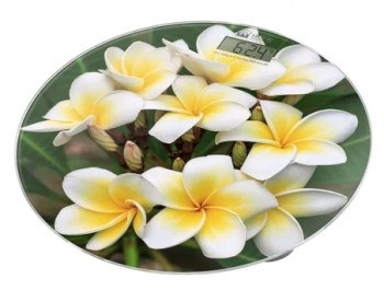 Весы напольные Home Element  HE-SC908 Белые плюмерии