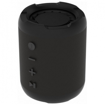 Портативная колонка Ritmix SP-290B  Чёрный