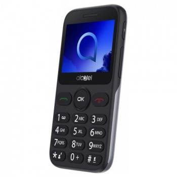 Мобильный телефон Alcatel 2019G Серебристый/черный